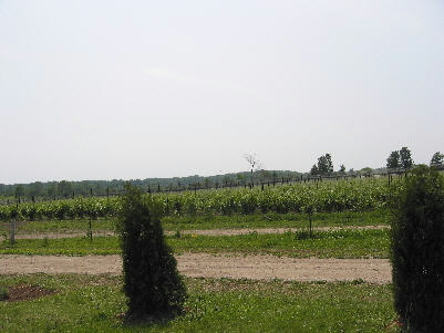 Closson Winery Front Vineyards